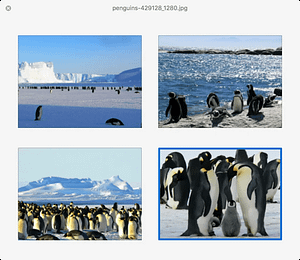 Quick Look penguins 1024x888