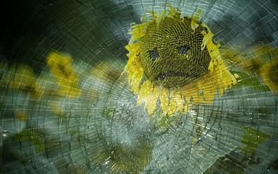 Here’s Your 30-second Crash Course in Dealing with Broken Web Pages