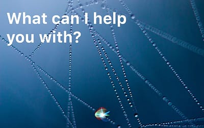 How to Get Back to Siri’s Web Results Quickly